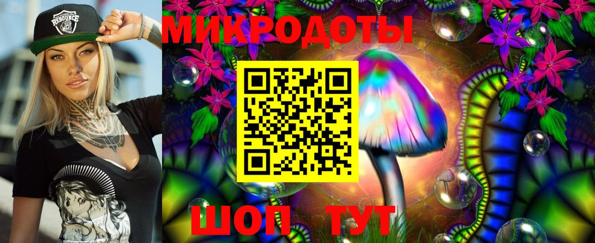 Меф Архангельск