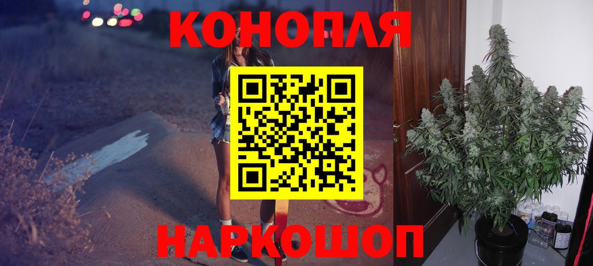 Каннабис сатива Архангельск